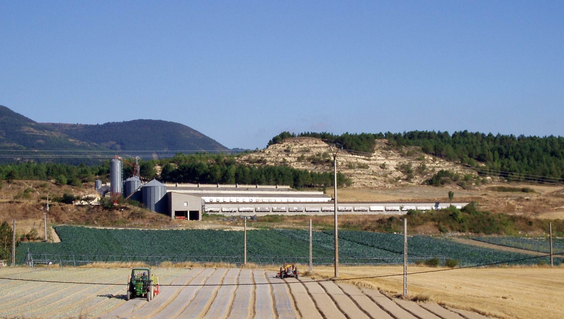 Parcelas de Granja Martínez